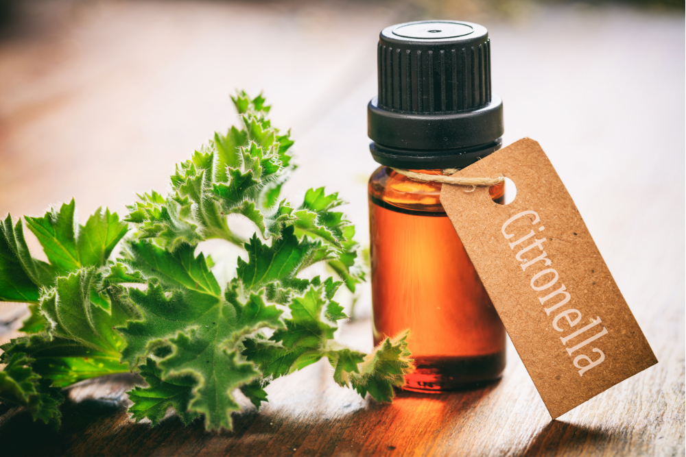 Esenciálny olej z citronelly – prírodná zložka s obsahom citronellolu, využívaná v aromaterapii a domácej starostlivosti.