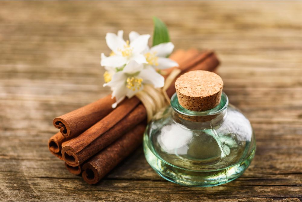 Ručný zber aromatických rastlín pre výrobu vzácnych esenciálnych olejov