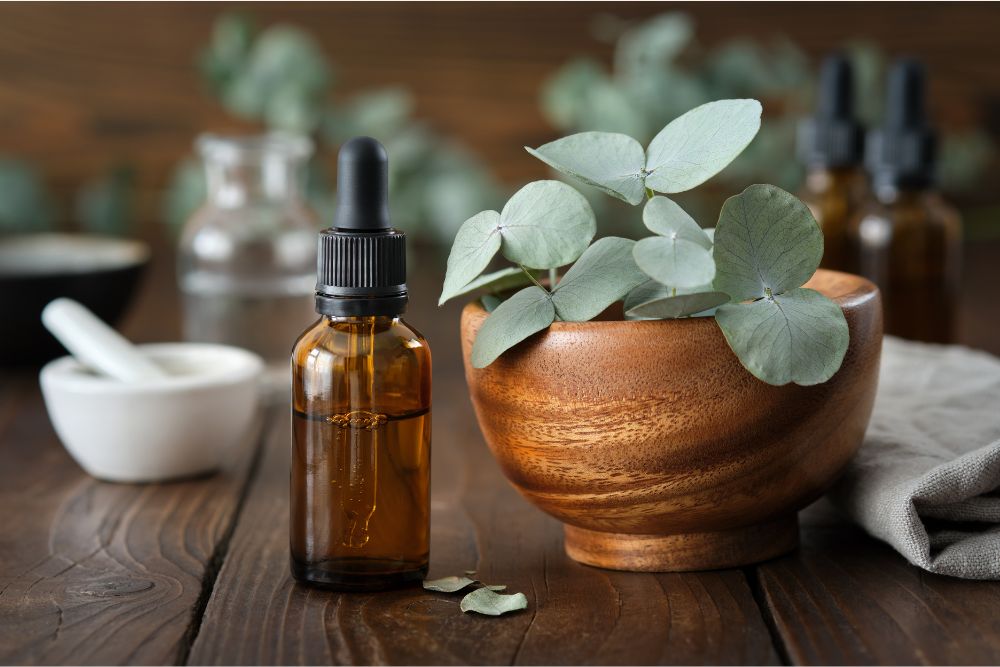 Eukalyptové vetvičky s fľaštičkou eukalyptového oleja pre aromaterapiu