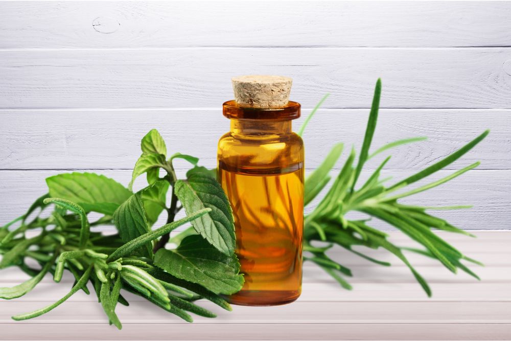 Fľaštička s tea tree esenciálnym olejom – prírodný produkt z listov austrálskeho kajeputu.